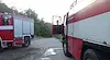 300 прасета загинаха при пожар  в свинекомплекс "Голямо Враново"