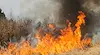 Ремонт на мрежата подпали стърнище край Бяла