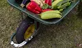 Земеделци блокираха пътя за Маказа край село Конуш
