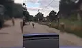 Пуснаха глутница огромни кангали по улиците на село Николово