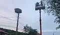 Спасиха паднало щъркелче след буря в Николово