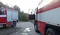 300 прасета загинаха при пожар  в свинекомплекс "Голямо Враново"