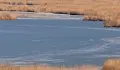 Нова гореща вълна носи рекордно ниски води на Дунав