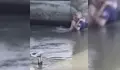 Полицай спаси давещо се дете от река Марица