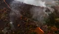 Български пожарникари гасят горски пожари в Испания