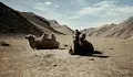 Екстремните горещини в Африка започнаха да убиват дори камилите