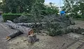Приморско се възстанови след мощната стихия