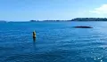 Сложиха обозначителен буй край повредената тръба до Созопол
