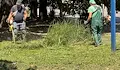 Продължава косенето на трева в Русе