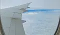 Съпруга спаси мъжа си от изхвърляне от прозорец на самолет