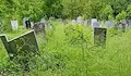 Бурени погълнаха гробищните паркове в Русе