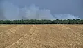 Арестуваха мъж, опитал да подпали Булонския лес