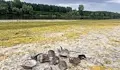 Дунав край Сандрово пресъхна, разкривайки дъно като плаж