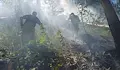 Мълния подпали резерват в Национален парк „Пирин“