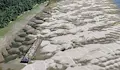 Ниските води на Дунав откриват стари съкровища и нови опасности