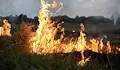 Небрежност предизвика два пожара в Русенско