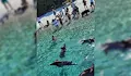 Глиган нахапа българка в Гърция