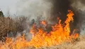 Ремонт на мрежата подпали стърнище край Бяла