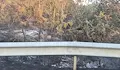 Два пожара горят край Марикостиново