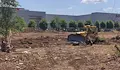 Засаждат над 300 дървета в новия парк до Мол Русе
