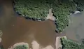 Няма финансиране за спасяването на резервата "Сребърна"