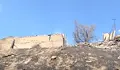 Пожар изпепели ферма със 150 животни в Мендово