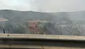 Пожар избухна край АМ "Хемус"