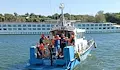Капитанска грешка е причината за заседналия кораб край Видин