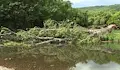 Деца скачат в опасните вирове на река Струма