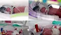 1 на 15 милиона: Австралийка роди еднояйчни четиризнаци
