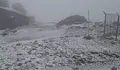 Сняг заваля посред лято в Румъния