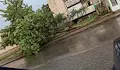 Силна буря парализира движението в Петрич