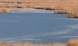 Нова гореща вълна носи рекордно ниски води на Дунав