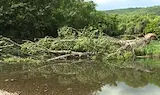Деца скачат в опасните вирове на река Струма
