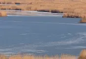 Нова гореща вълна носи рекордно ниски води на Дунав