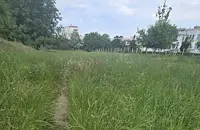 Неокосена трева "поглъща" пътеката до детска градина в Русе