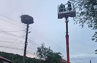 Спасиха паднало щъркелче след буря в Николово