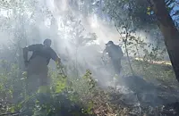 Мълния запали гора в Национален парк "Пирин"