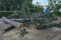 Приморско се възстанови след мощната стихия