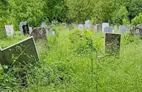 Бурени погълнаха гробищните паркове в Русе