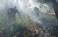 Мълния подпали резерват в Национален парк „Пирин“