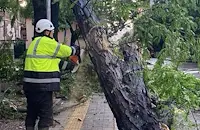 Екипи разчистват София след бурята