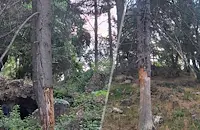 Скейт паркът в Русе обграден от опасни дървета