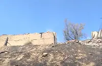 Пожар изпепели ферма със 150 животни в Мендово