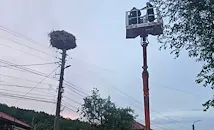 Спасиха паднало щъркелче след буря в Николово
