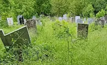 Бурени погълнаха гробищните паркове в Русе
