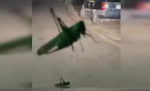 Нашествие на огромни скакалци в Кричим