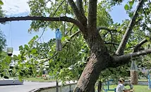 Хранилки и поилки за птици монтираха в село Бъзън