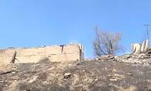 Пожар изпепели ферма със 150 животни в Мендово