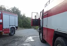 Унищожена е покривна конструкция и оборудване в халетоТриста прасета загинаха